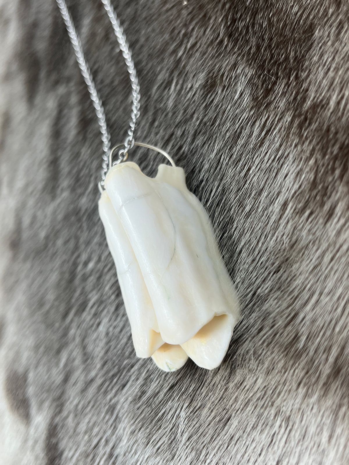 Muskox Tooth Pendant