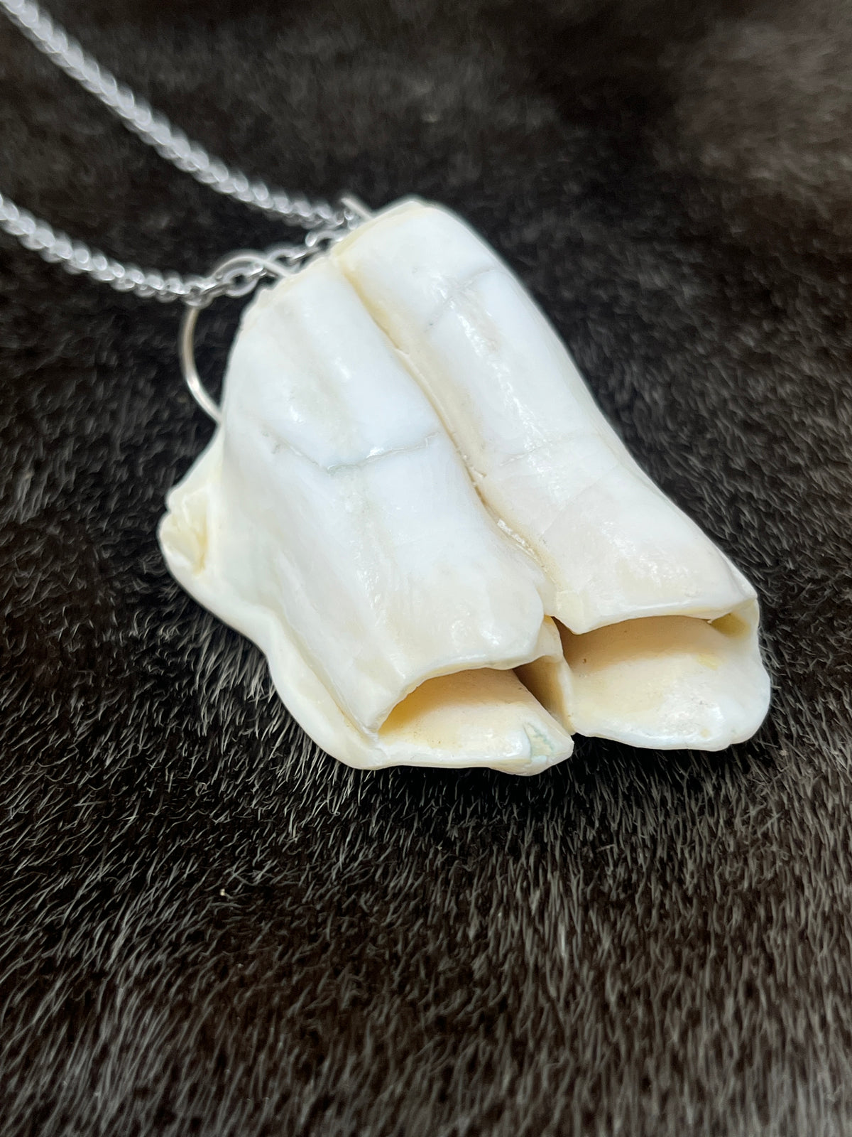Muskox Tooth Pendant