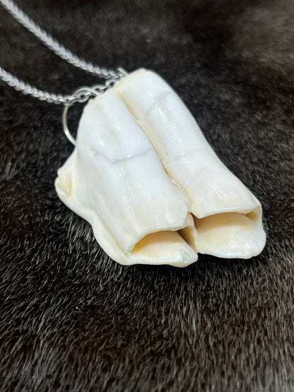 Muskox Tooth Pendant