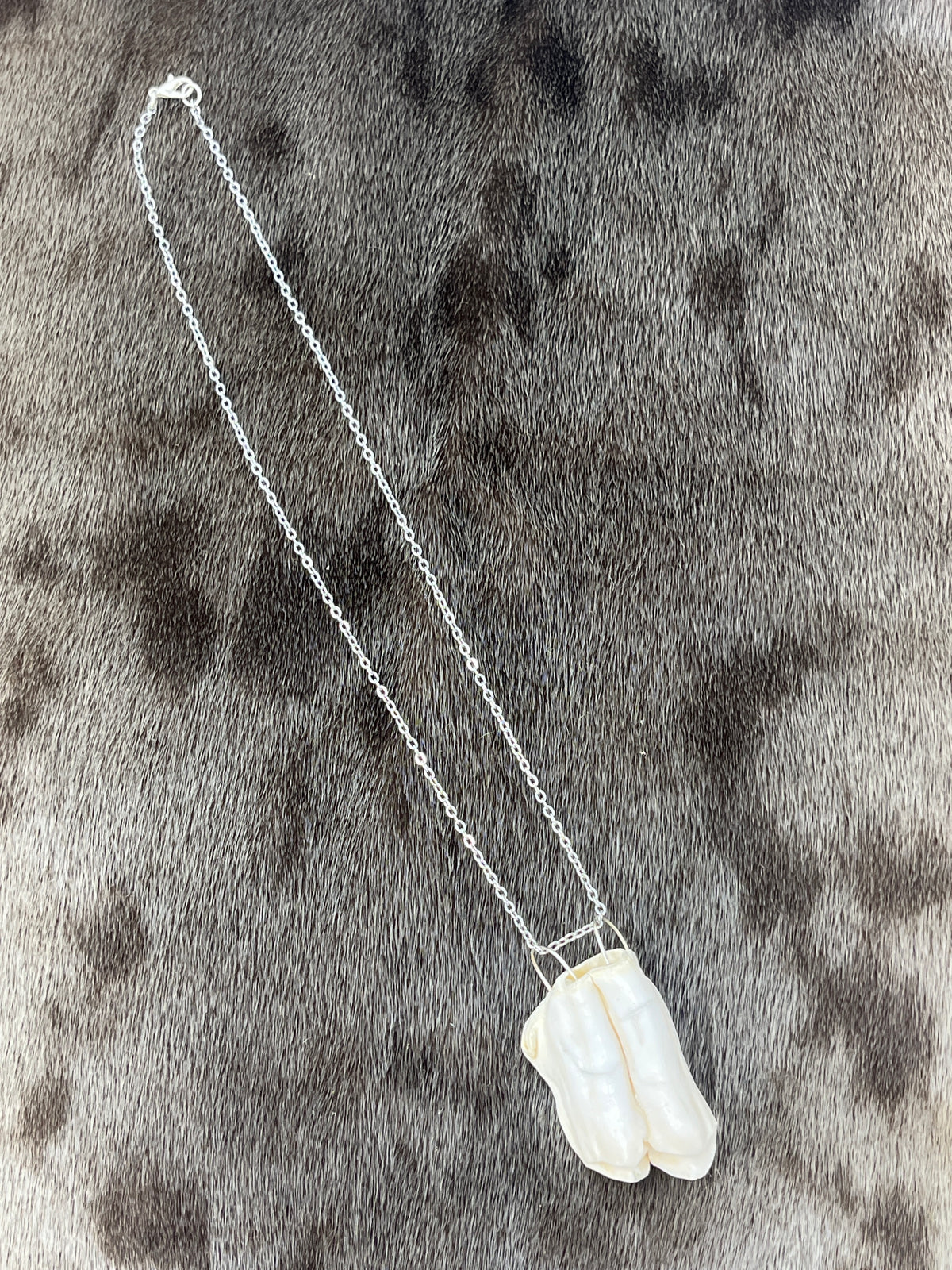 Muskox Tooth Pendant