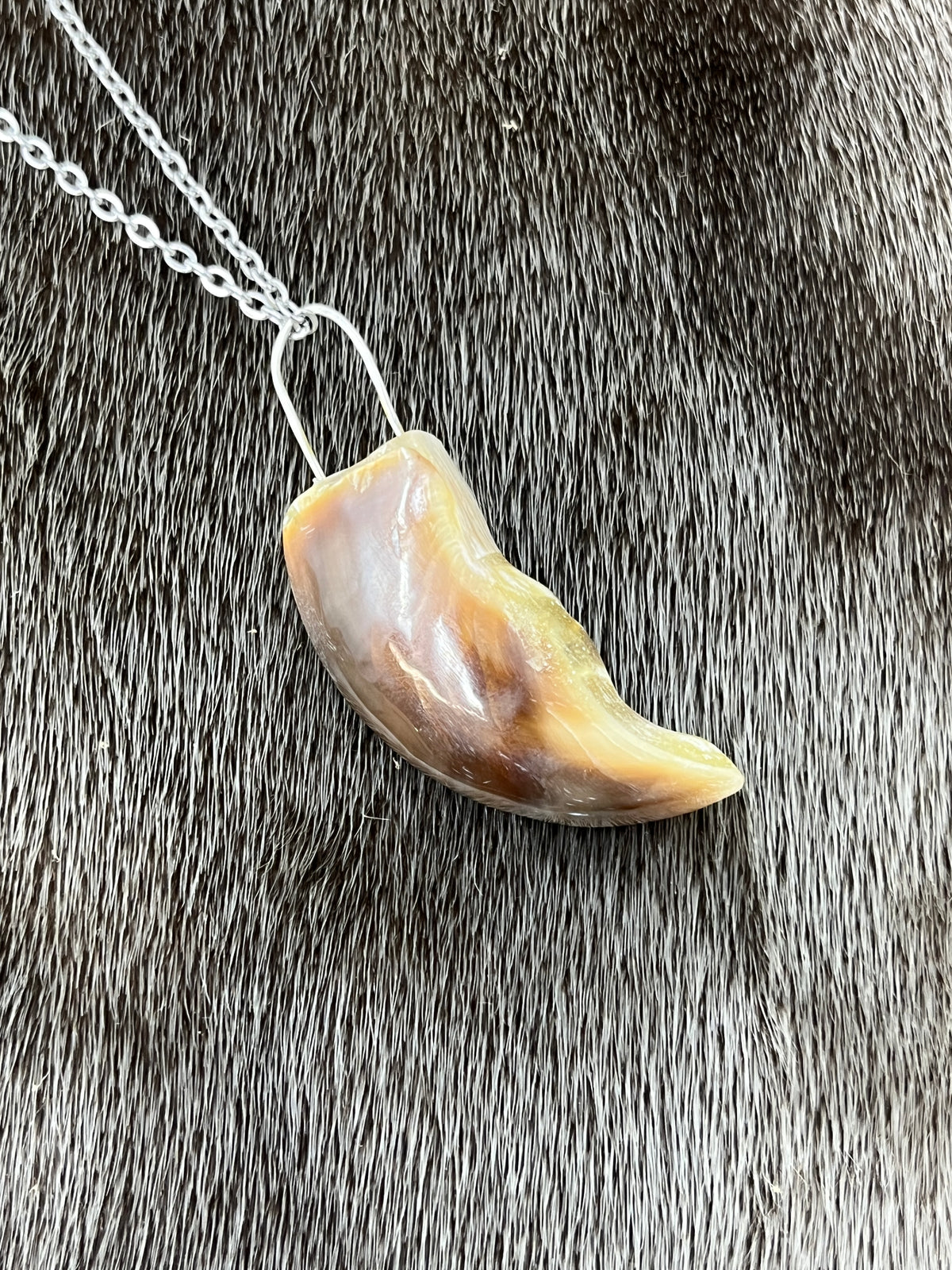 Polar Bear Claw Pendant
