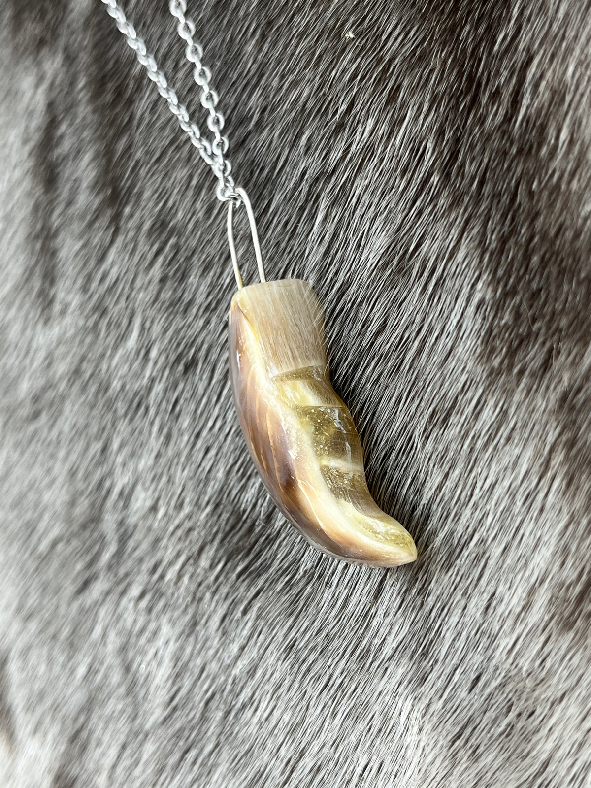 Polar Bear Claw Pendant