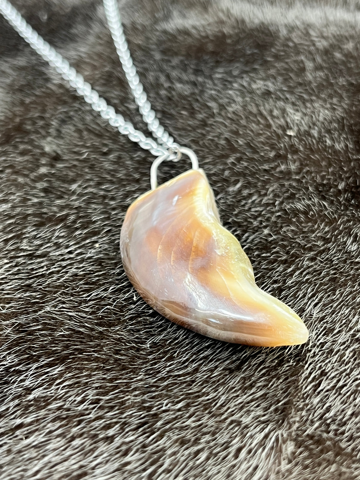 Polar Bear Claw Pendant