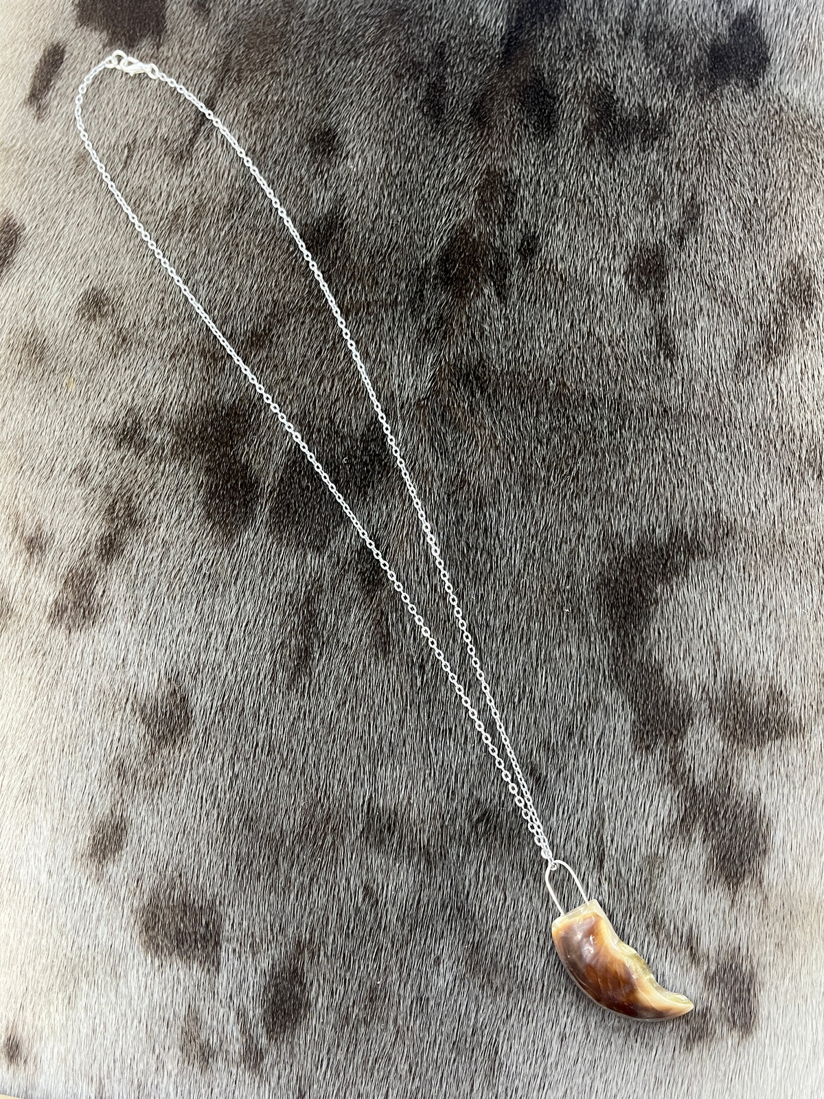 Polar Bear Claw Pendant