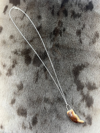 Polar Bear Claw Pendant
