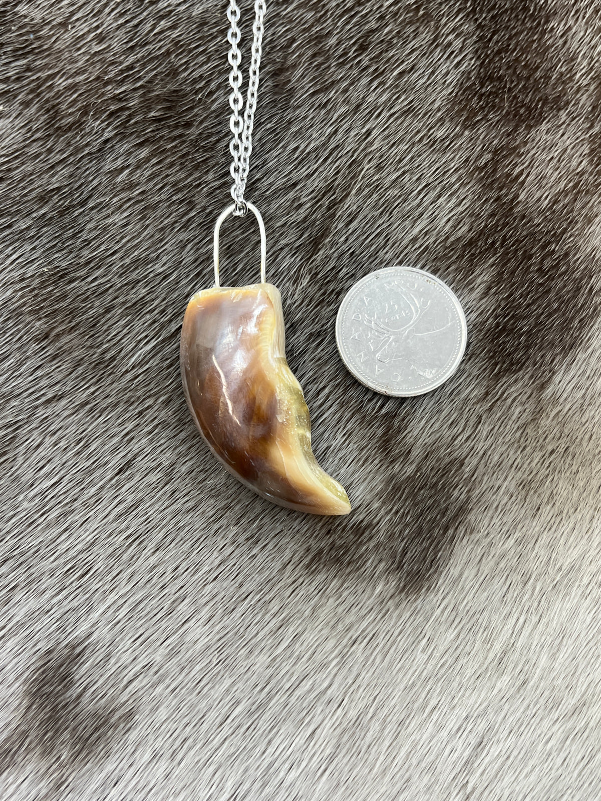 Polar Bear Claw Pendant