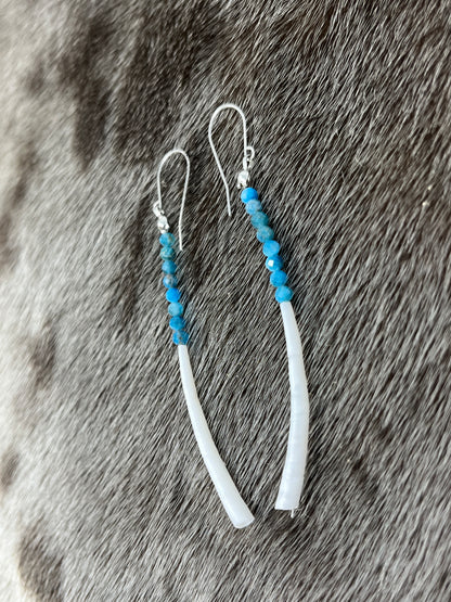 Dentillium Dangle Apatite