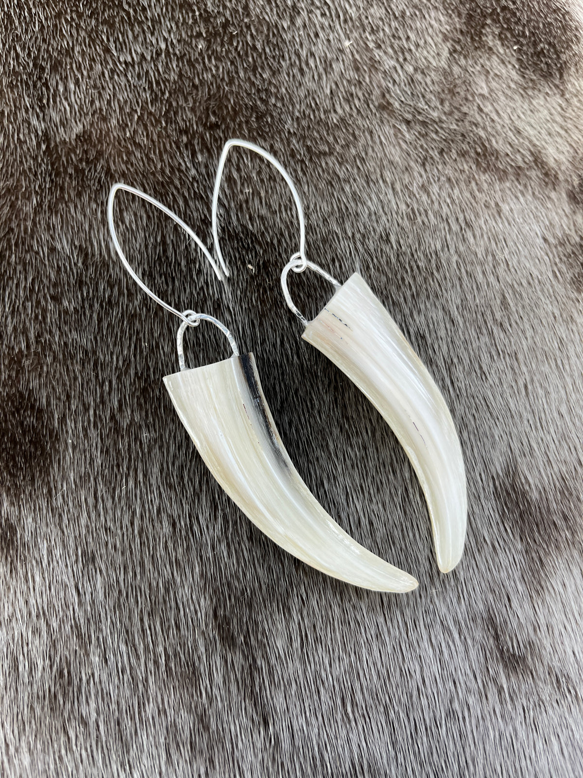 Muskox Horn Tip Earrings