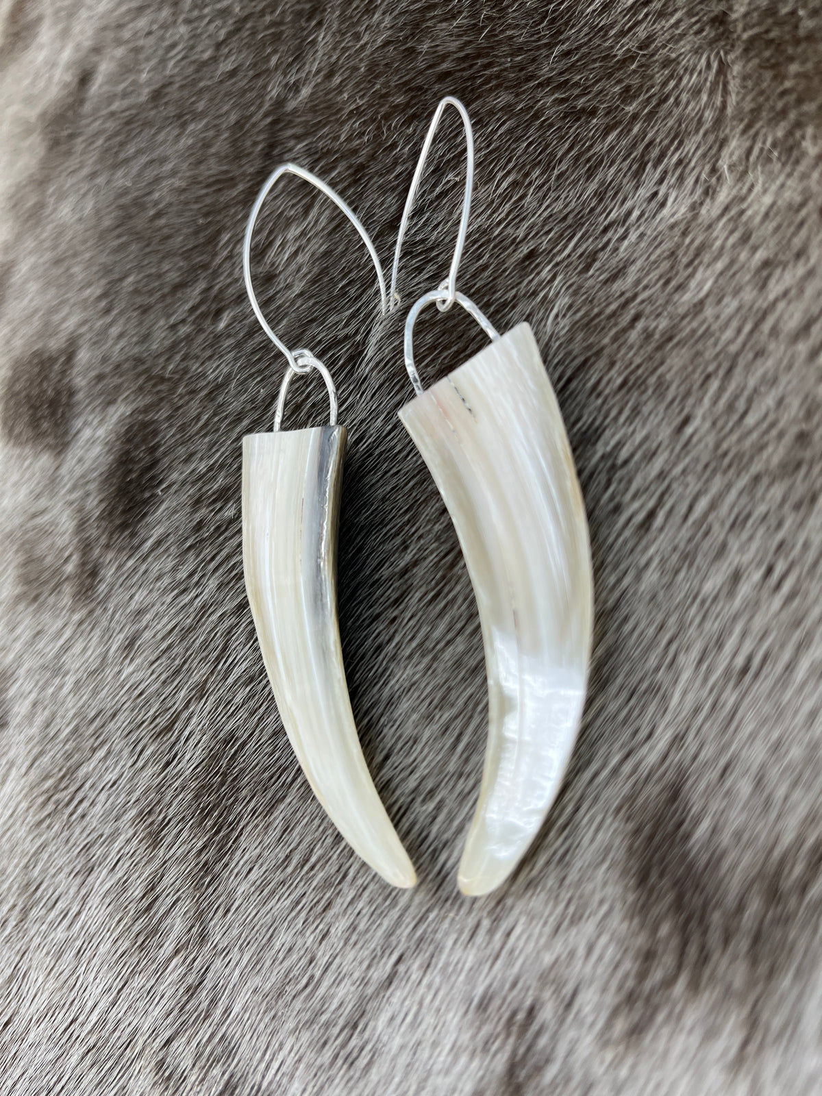 Muskox Horn Tip Earrings