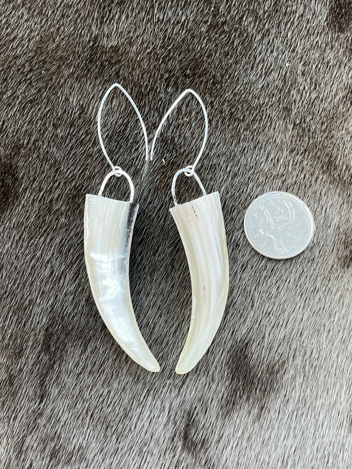 Muskox Horn Tip Earrings