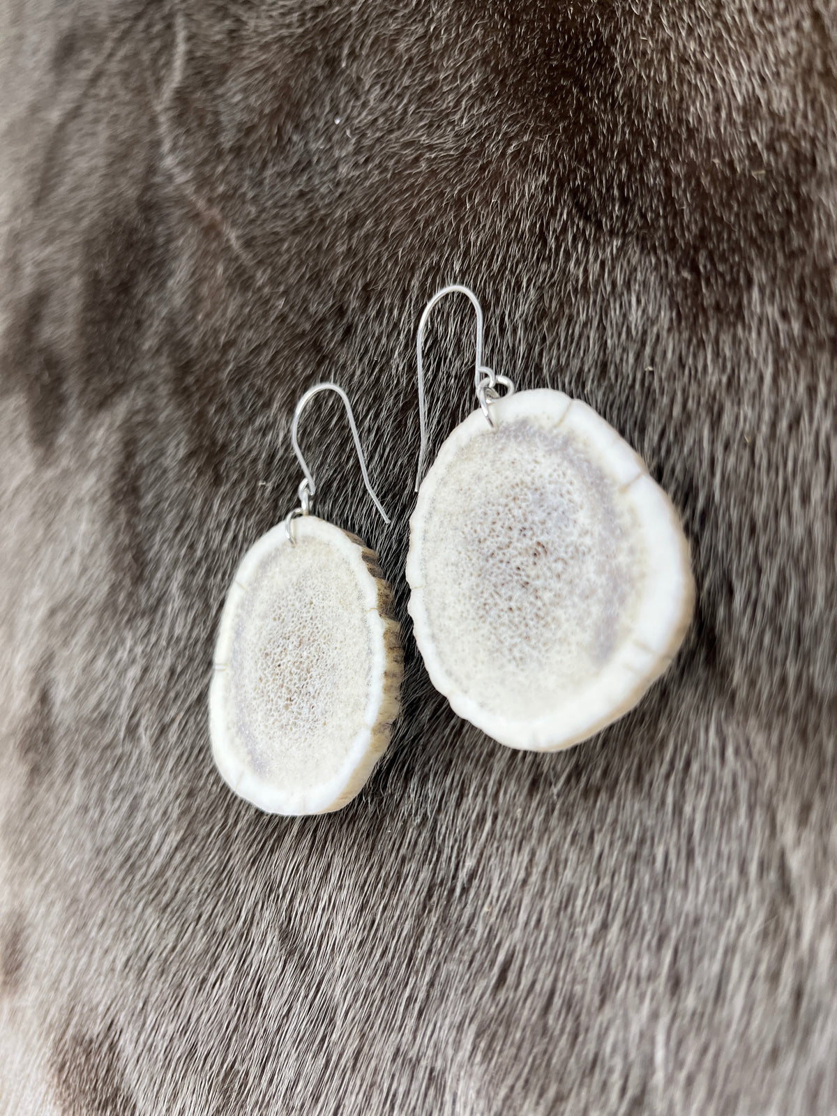 Elk Antler Earrings