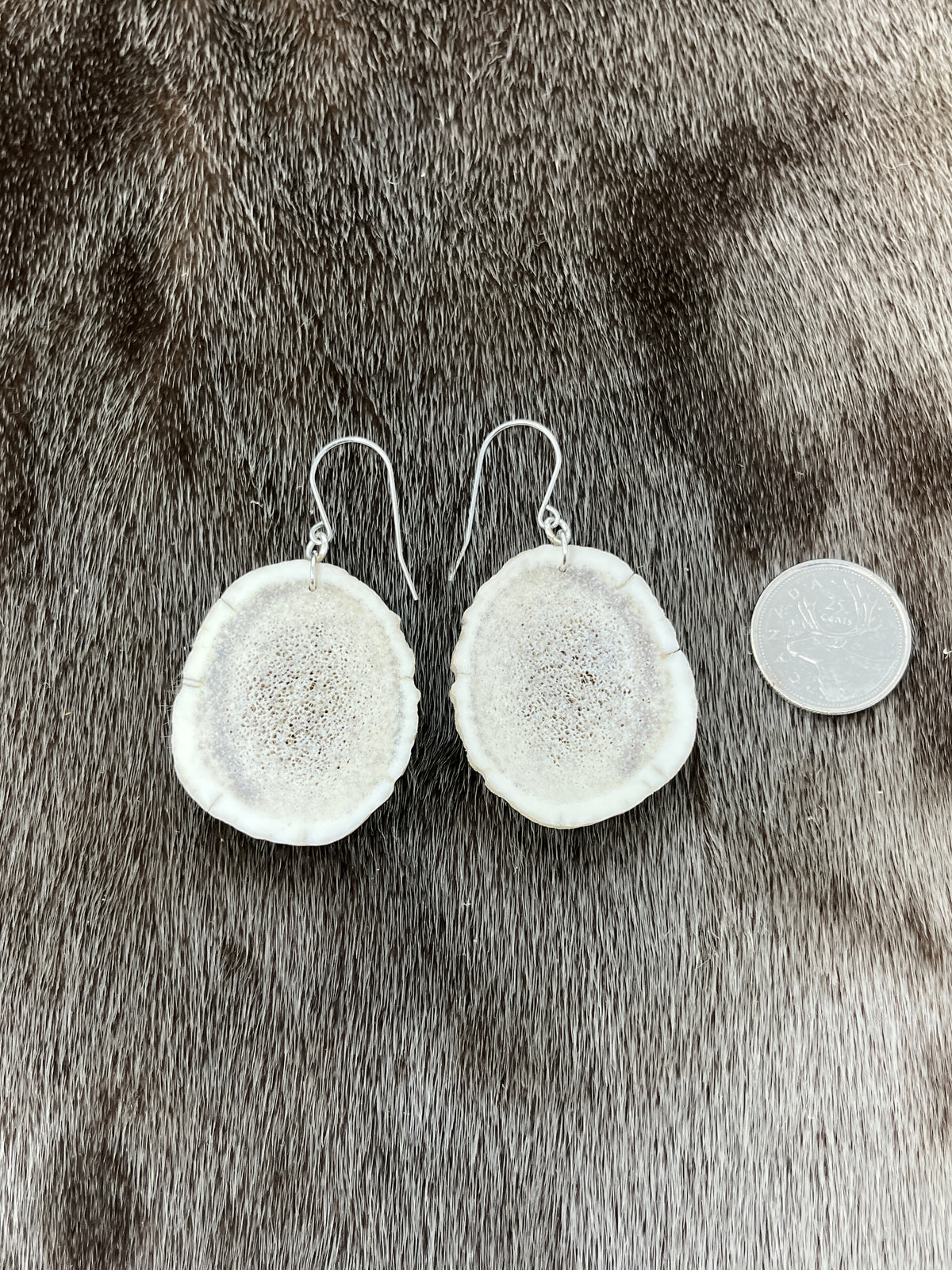 Elk Antler Earrings