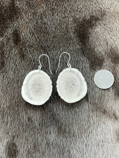 Elk Antler Earrings