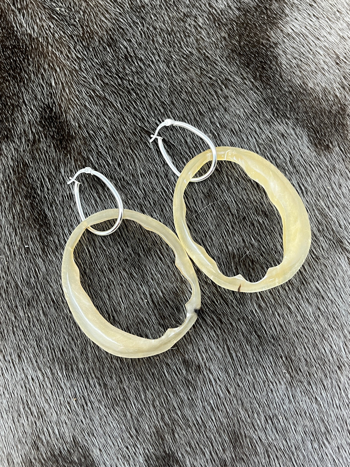 Muskox Hoops