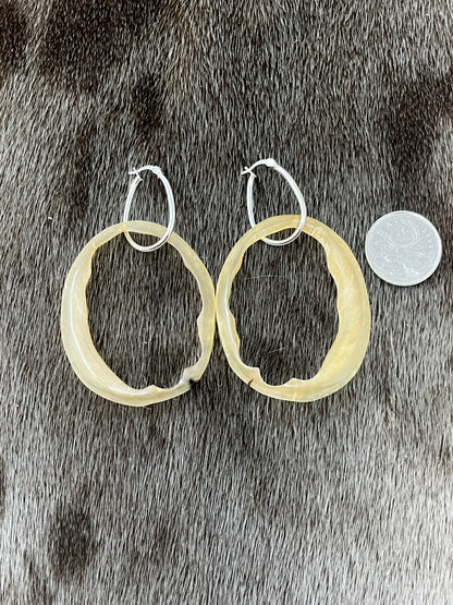 Muskox Hoops