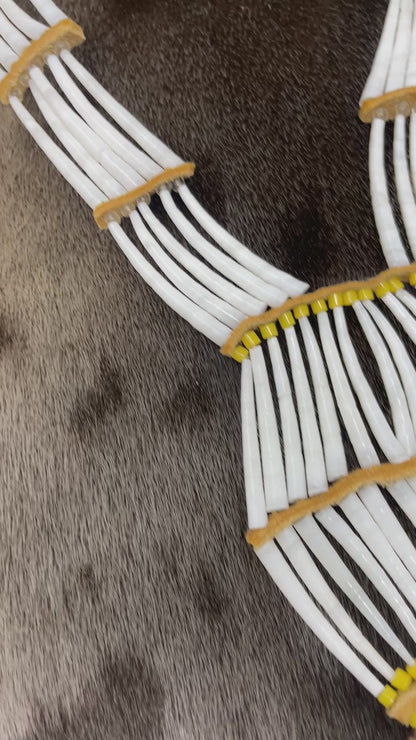 Dentillium Necklace