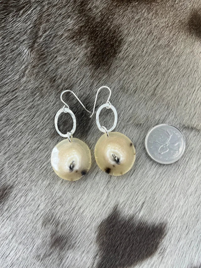 Muskox & Hammered Silver