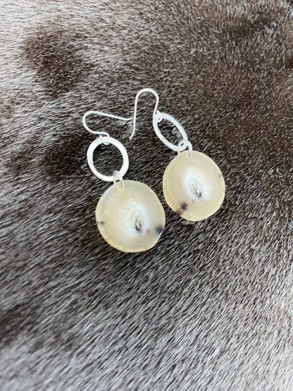 Muskox & Hammered Silver